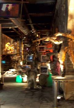 100_1023.jpg