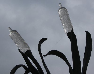 cattaillightalexandre