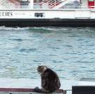 image023.jpg