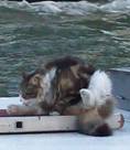image024.jpg