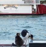 image027.jpg