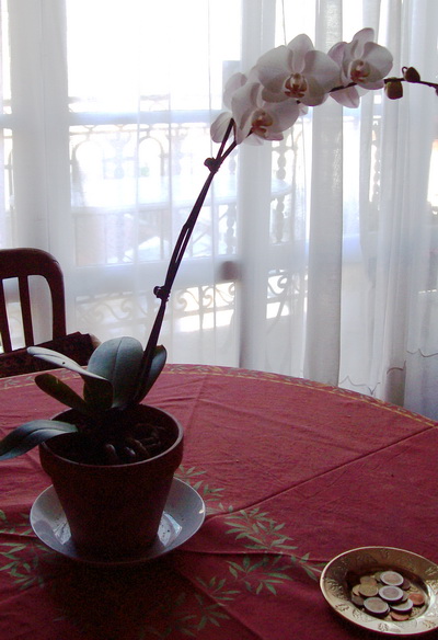 100_1139.jpg
