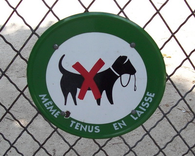 Description: nodogs.jpg