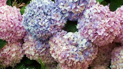 100_1071.jpg