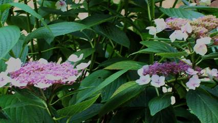 100_1072.jpg