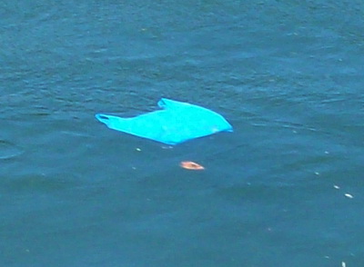 seinebag.jpg