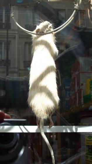 image021.jpg