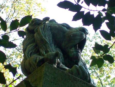 100_1619.jpg