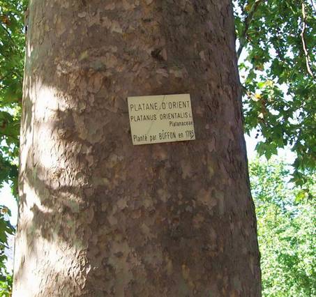100_1621.jpg