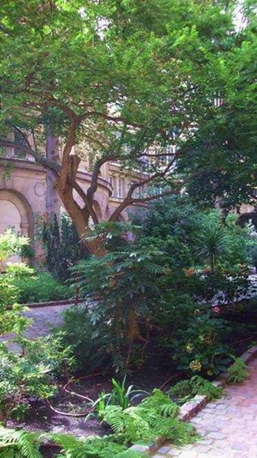 cordeliergarden.jpg