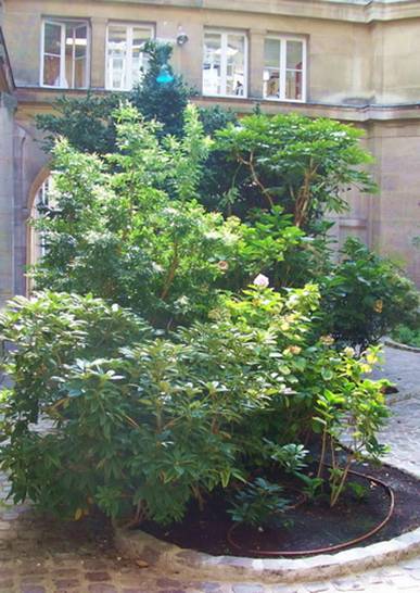 cordeliergarden1.jpg