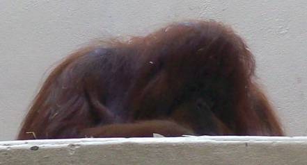 100_1674.jpg