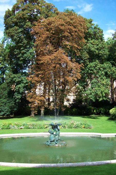 100_1688.jpg