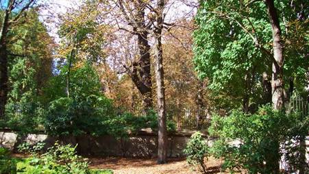 100_1686.jpg