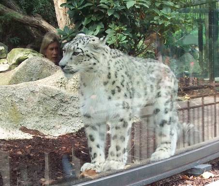 100_1667.jpg