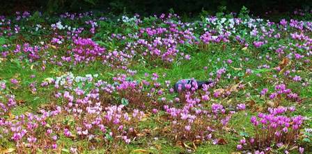 100_1694.jpg