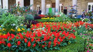 dieujardin.jpg